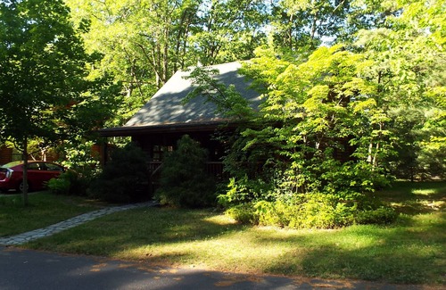 Saugatuck Cabin | Genuine Log Cabin on Beautiful Goshorn Lake