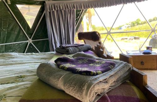 Llanidloes Other | Geodesic Dome Glamping