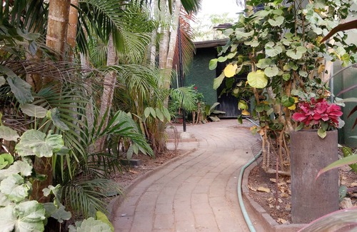 Ixtapa - Zihuatanejo Cottage | Geodesic Dome with Kitchen and A/C, 1 Block to the Beach