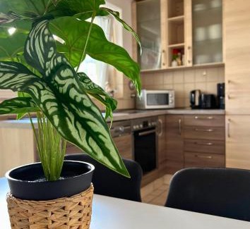 Wuerzburg Apartment | Geräumige Wohnung mit Balkon - Zentral - Kostenloses Parken