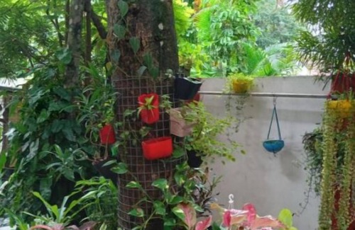 Kochi Apartment | Gerards Home stay Fortkochi Double Room with Private Bathroom