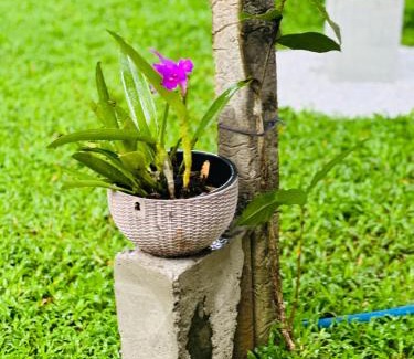 Seeduwa - Katunayake House | Gert's Aerovista villa