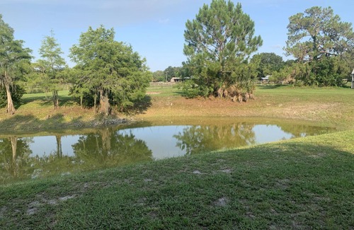 Englewood Resort | Get away to the Country on a lake enjoying the wild life and horses.