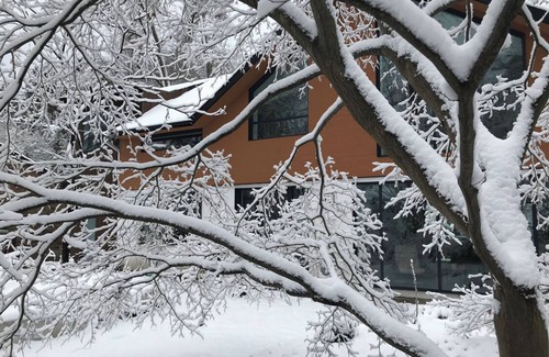Swansea House | Get Loft in Nature, Queen private suite in High Park