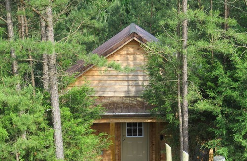 East Bernstadt Cabin | Get "lost in the woods" At This Totally Secluded, Romantic & Intimate Cabin!
