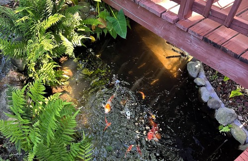 Florahome House | GETAWAY FROM THE CRAZINESS: COME RELAX & ENJOY THE WATER/FISHING/SUN/FUN