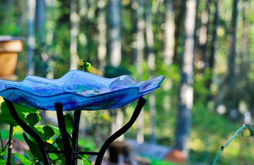 Corvallis House | Getaway Retreat- Beautiful Studio near Hiking Trails