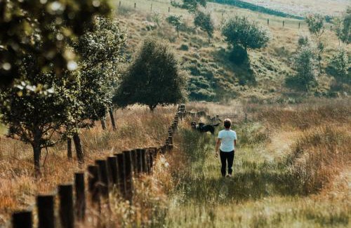 Tarset Bed & Breakfast | Gibshiel Farm Bed and Breakfast