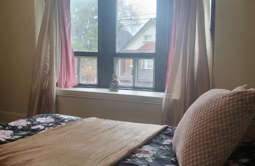 Gibson Hostel | Gibson Lodge