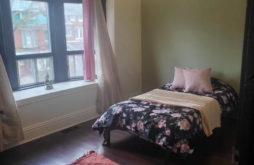 Gibson Hostel | Gibson Lodge