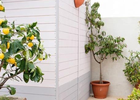 Viareggio Apartment | Giglio di Mare, Darsena Viareggio