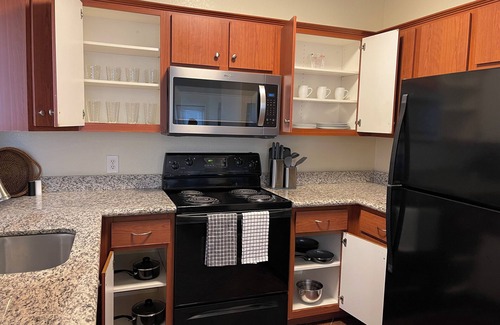Gilbert Condo | Gilbert/Mesa Solana Luxury Condo 1 Bdrm/1 Bath Near MD Anderson Cancer Center