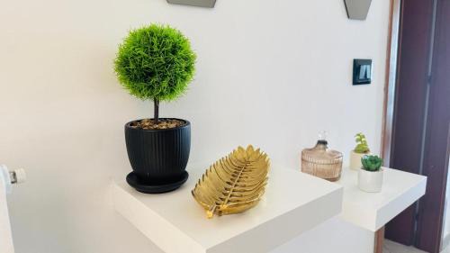 Municipio 3 Apartment | Gin House Seaview