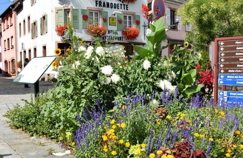 Ville House | Gîte * 4 to 6 people in the center of Villé Centre Alsace