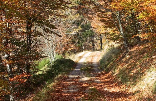 Cubieres House | Gite at the foot of Mont Lozère week WK or night 6 sleeps STEVENSON
