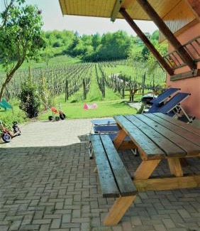 Nothalten House | Gite "Au cerf"