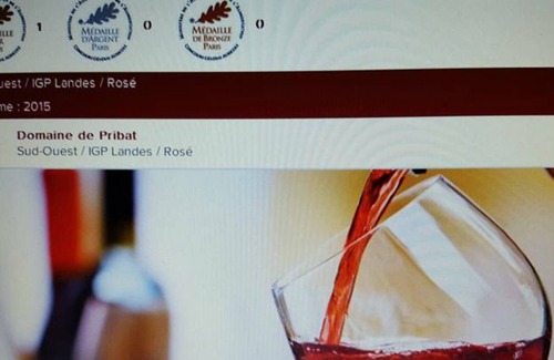 Benesse-les-Dax House | Gite Bénesse-lès-Dax, 2 bedrooms, 4 persons