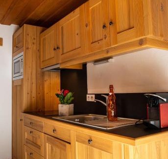 Sixt-Fer-a-Cheval Apartment | Gite Balnéo La Pomme de Pin