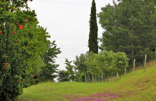 Pays-de-Belves Cottage | Gite Belvès, 3 bedrooms, 6 persons