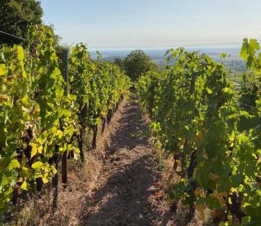 Dambach-la-Ville Apartment | Gite Chez Joséphine - La chambre du Clocher