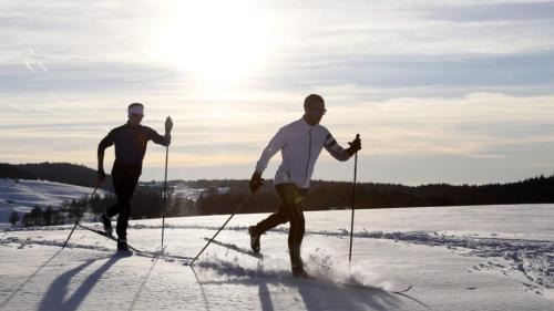 Pontarlier Apartment | gite cosy