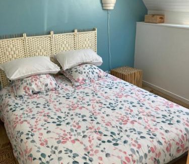 Scrignac House | gite d'artiste le lézard vert