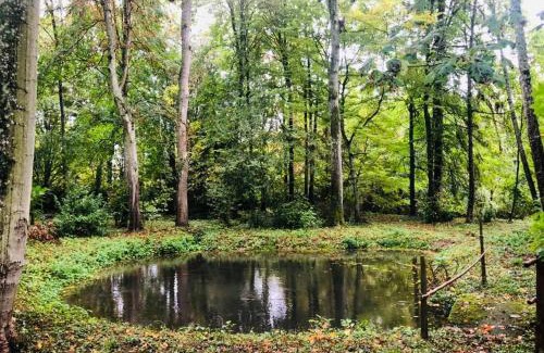 Suevres House | Gite d'Oliva