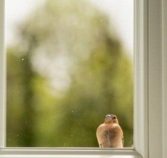 La Puisaye House | Gite de l'étang