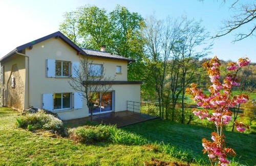 Dizimieu Villa | Gite des Marronniers