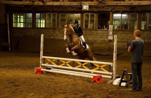 Wattwiller Apartment | Gite des Tilleuls