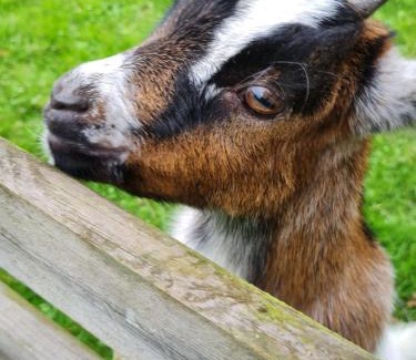 Saint-Gilles House | GITE EN CAMPAGNE 15 min de Rennes
