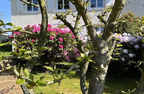 Senneville-sur-Fecamp House | Gite - Holiday home. Senneville sur Fécamp