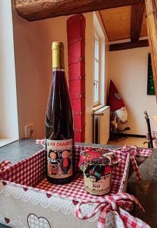 Selestat Apartment | Gite Ia Grenouille