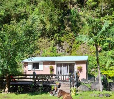 Salazie House | Gite LA CASCADE BLANCHE