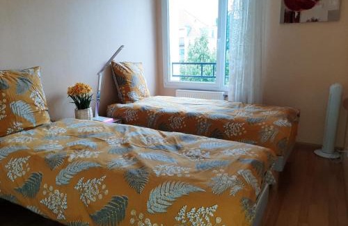 Quartier Saint-Leon Apartment | GITE LA HOUBLONNIÈRE STANDING et CONFORT à COLMAR