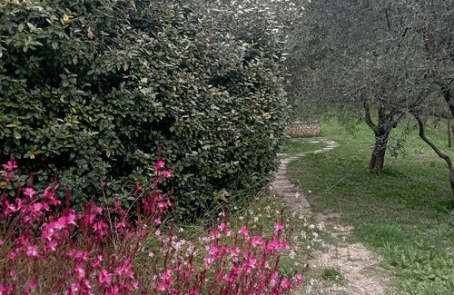 Saint-Saturnin-les-Apt House | Gite le petit colibri provençal cottage by the pool