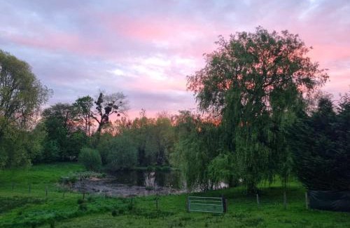 Saint-Josse Apartment | Gite "LES BOULEAUX" - Calme & Confortable - Lit QUEEN SIZE - Vue sur étang à 10mn du TOUQUET
