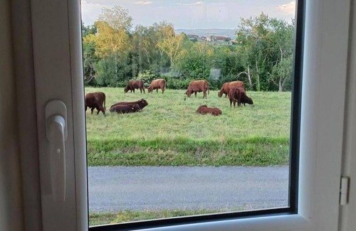 Maurs Cottage | Gite Maurs, 3 bedrooms, 6 persons