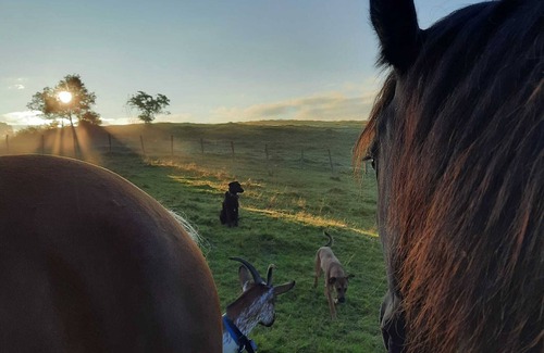 Frasne Ski Chalet | Gite pleine nature