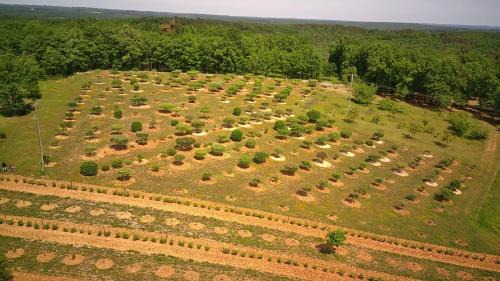 Cubjac-Auvezere-Val d'Ans House | Gite Truffière de La Garrigue, Cubjac, Dordogne