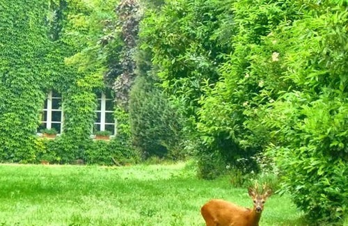 Varneville-Bretteville House | Gite Varneville-Bretteville, 2 bedrooms, 4 persons