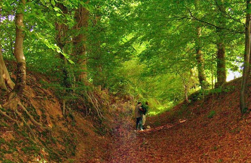 Varneville-Bretteville House | Gite Varneville-Bretteville, 2 bedrooms, 4 persons