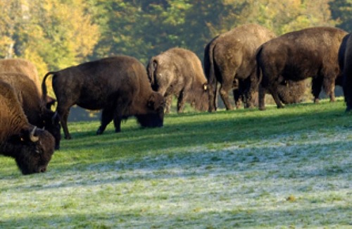 Ventes-Saint-Remy House | Gite Ventes-Saint-Rémy, 2 bedrooms, 5 persons