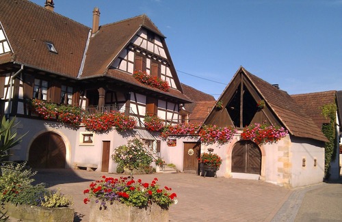 Cleebourg House | Gite Vignoble de Cléebourg