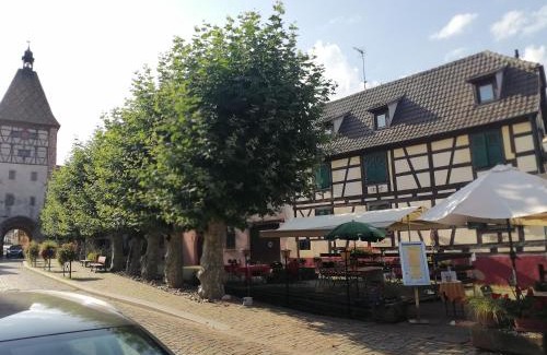 Bergheim Apartment | Gites Aux Fines Bulles d'Alsace SPA privatif en supplément