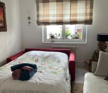 Selestat Apartment | Gites des capucins centre ville Sélestat