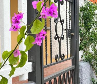 Torre del Lago Puccini House | Giuliana's house by the sea in Tuscany