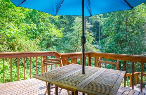 Glacier Cabin | Glacier Hideaway - Mt. Baker Cabin - AC, Hot Tub, BBQ, WiFi, EV