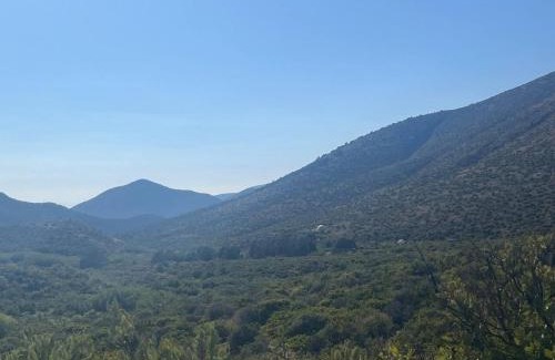 Mount Charleston Other | Glamping Tent High Roller