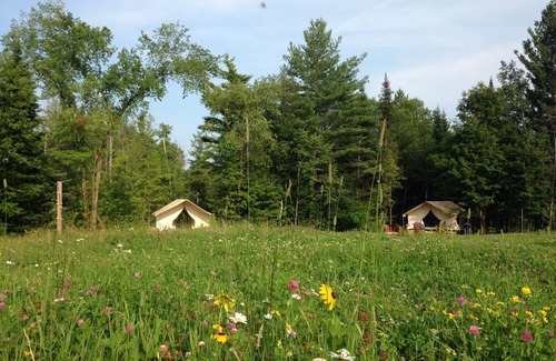 North River Cabin | GLAMP BERNICE ON BEAUTIFUL ADIRONDACK HOBBY FARM
